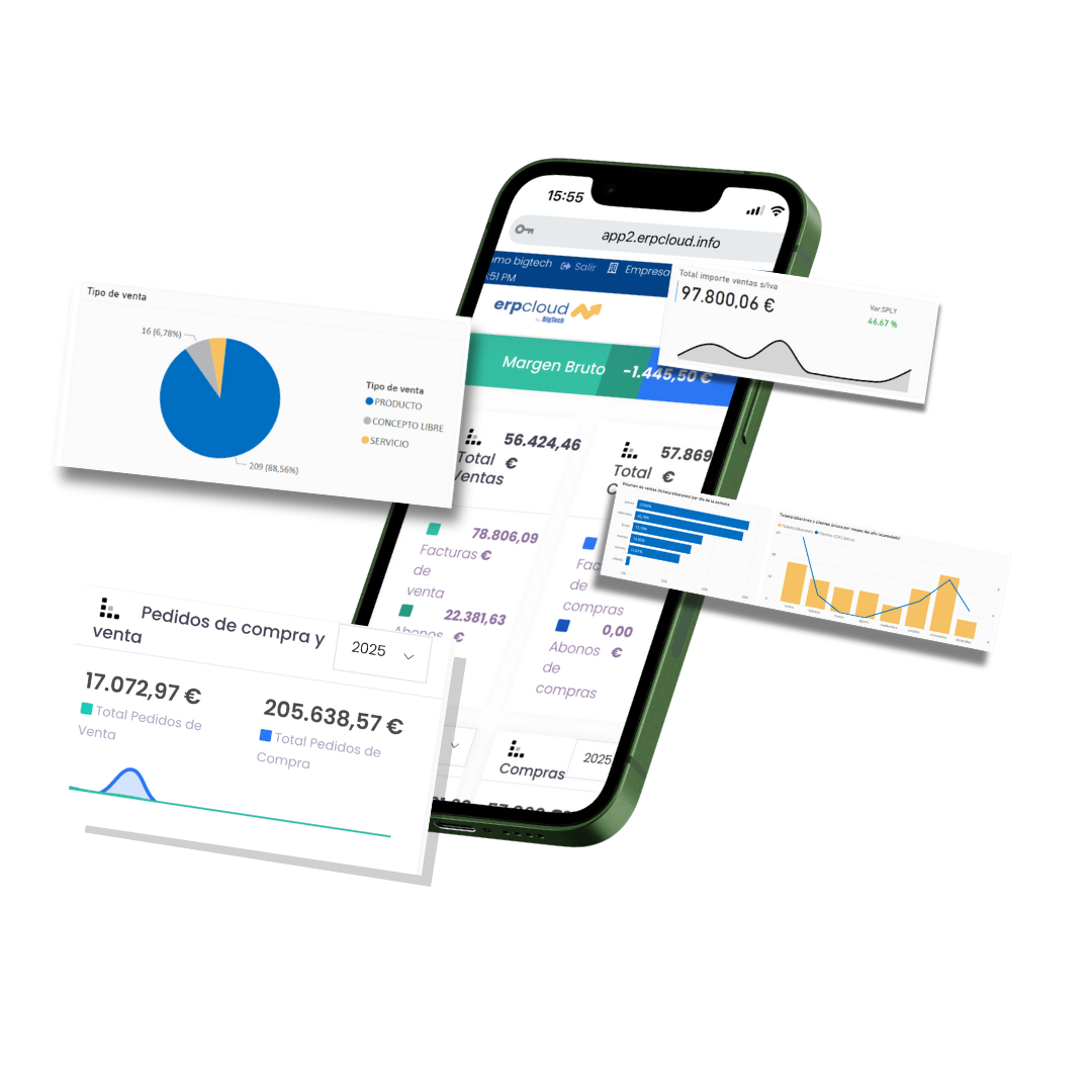 Software de gestión empresarial